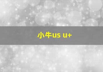 小牛us u+